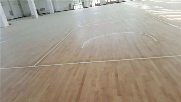 红河农场体育馆 (7)