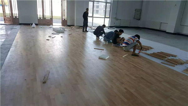 红河农场体育馆 (3)