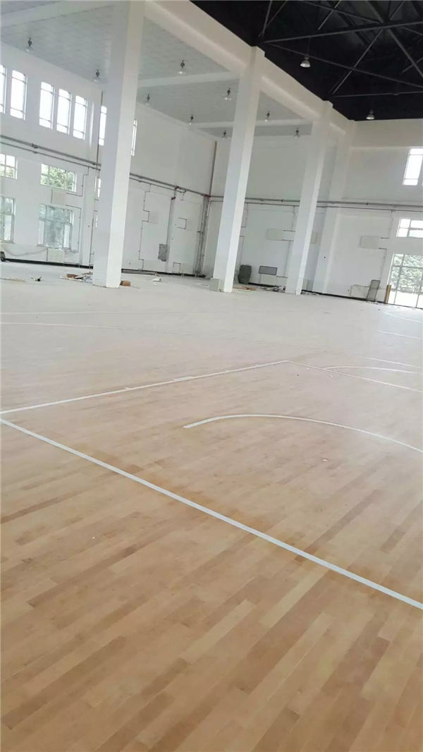 红河农场体育馆 (1)
